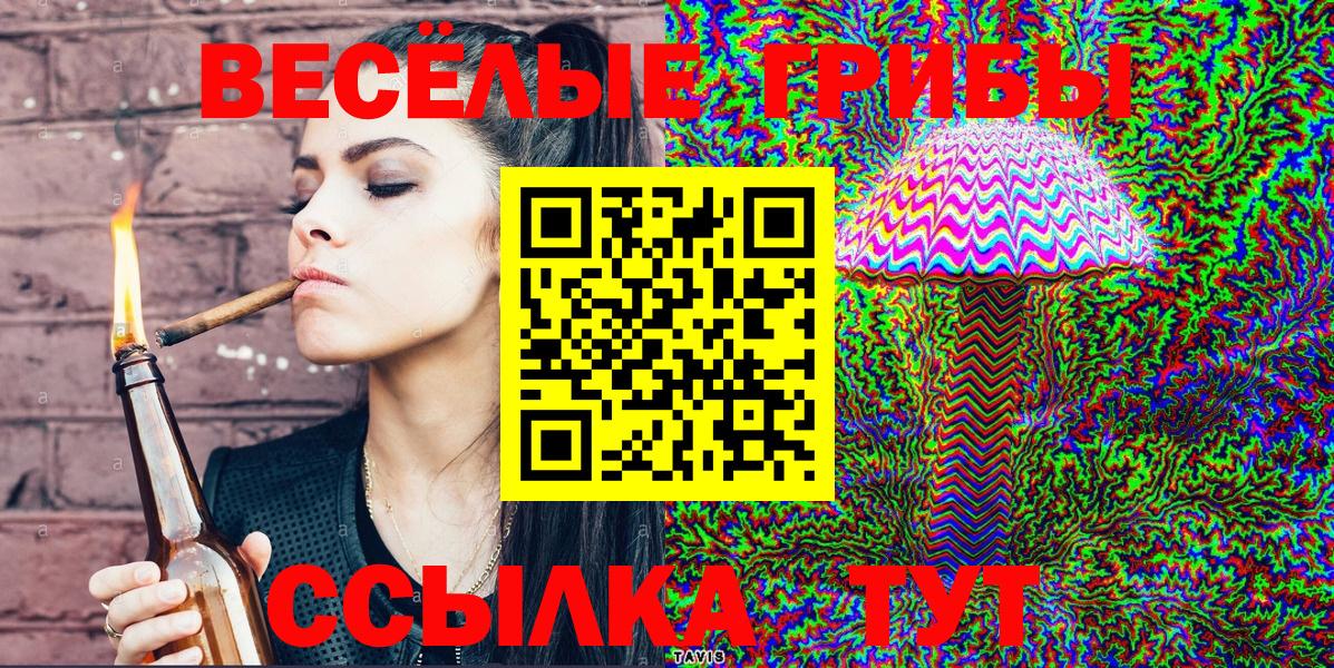 Галлюциногенные грибы Cubensis Зима