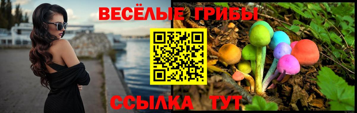 Зима  Псилоцибиновые грибы Magic Shrooms  Вход с VPN 